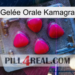Gelée Orale Kamagra 13